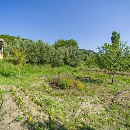 Biancolilla Apartment