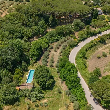 Biancolilla