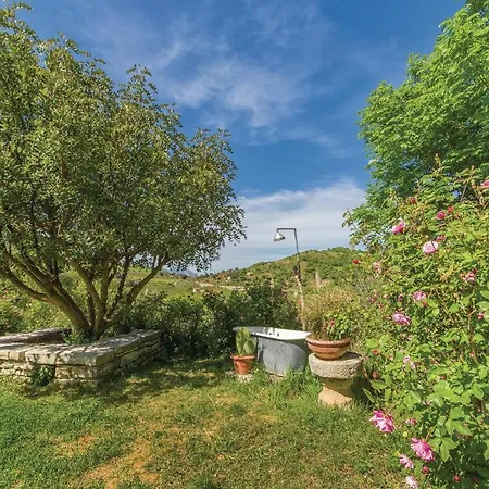 Apartment Biancolilla Alia